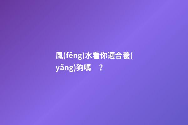 風(fēng)水看你適合養(yǎng)狗嗎？